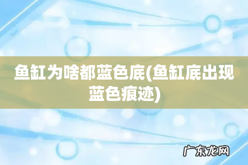 鱼缸底出现蓝色痕迹 鱼缸为啥都蓝色底