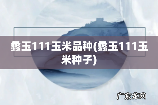 蠡玉111玉米种子 蠡玉111玉米品种