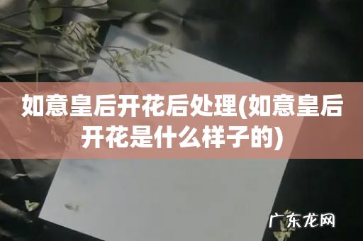 如意皇后开花是什么样子的 如意皇后开花后处理