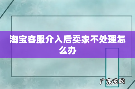 淘宝客服介入后卖家不处理怎么办