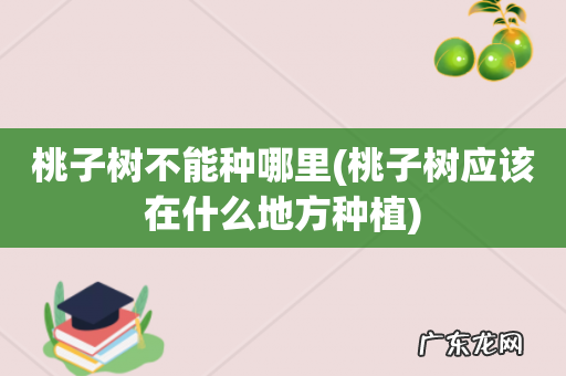 桃子树应该在什么地方种植 桃子树不能种哪里