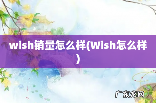 Wish怎么样 wish销量怎么样