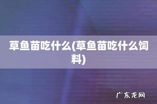 草鱼苗吃什么饲料 草鱼苗吃什么