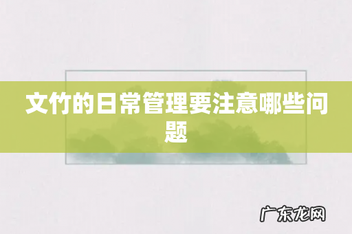 文竹的日常管理要注意哪些问题