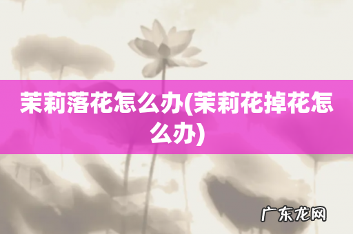 茉莉花掉花怎么办 茉莉落花怎么办