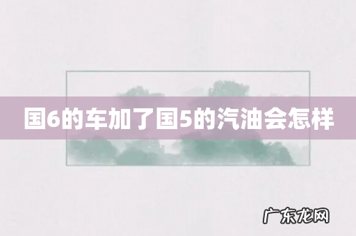 国6的车加了国5的汽油会怎样