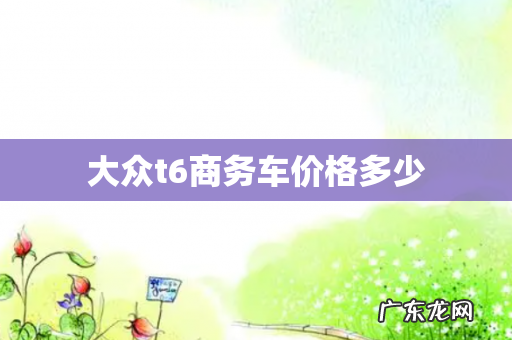 大众t6商务车价格多少