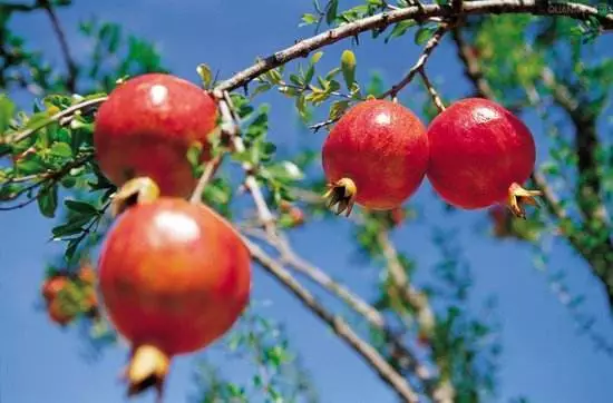 水中石灯 风水石灯作用