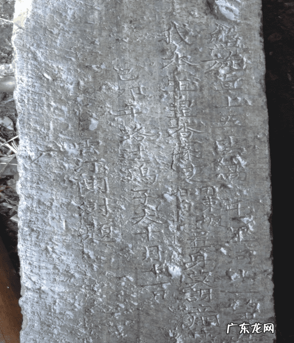 犀牛望月风水宝地 陶氏风水宝地在哪