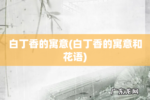 白丁香的寓意和花语 白丁香的寓意