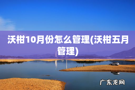 沃柑五月管理 沃柑10月份怎么管理