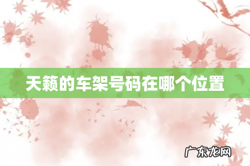 天籁的车架号码在哪个位置