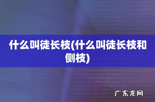 什么叫徒长枝和侧枝 什么叫徒长枝