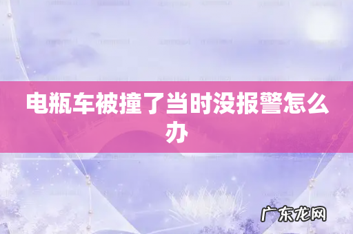 电瓶车被撞了当时没报警怎么办