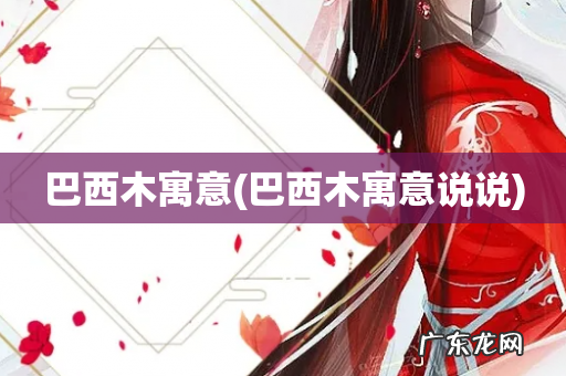 巴西木寓意说说 巴西木寓意