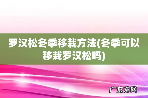 冬季可以移栽罗汉松吗 罗汉松冬季移栽方法