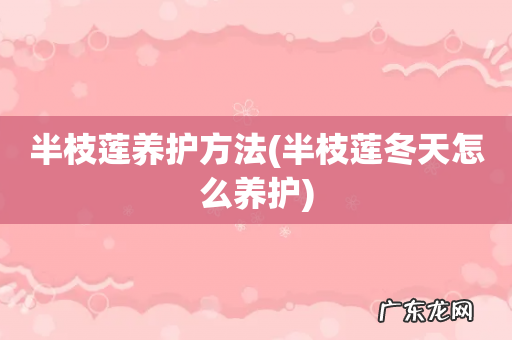 半枝莲冬天怎么养护 半枝莲养护方法
