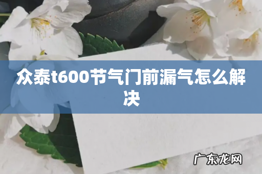 众泰t600节气门前漏气怎么解决