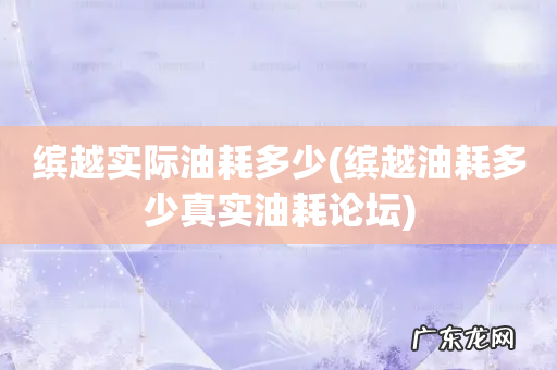 缤越油耗多少真实油耗论坛 缤越实际油耗多少