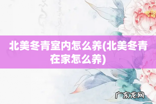 北美冬青在家怎么养 北美冬青室内怎么养