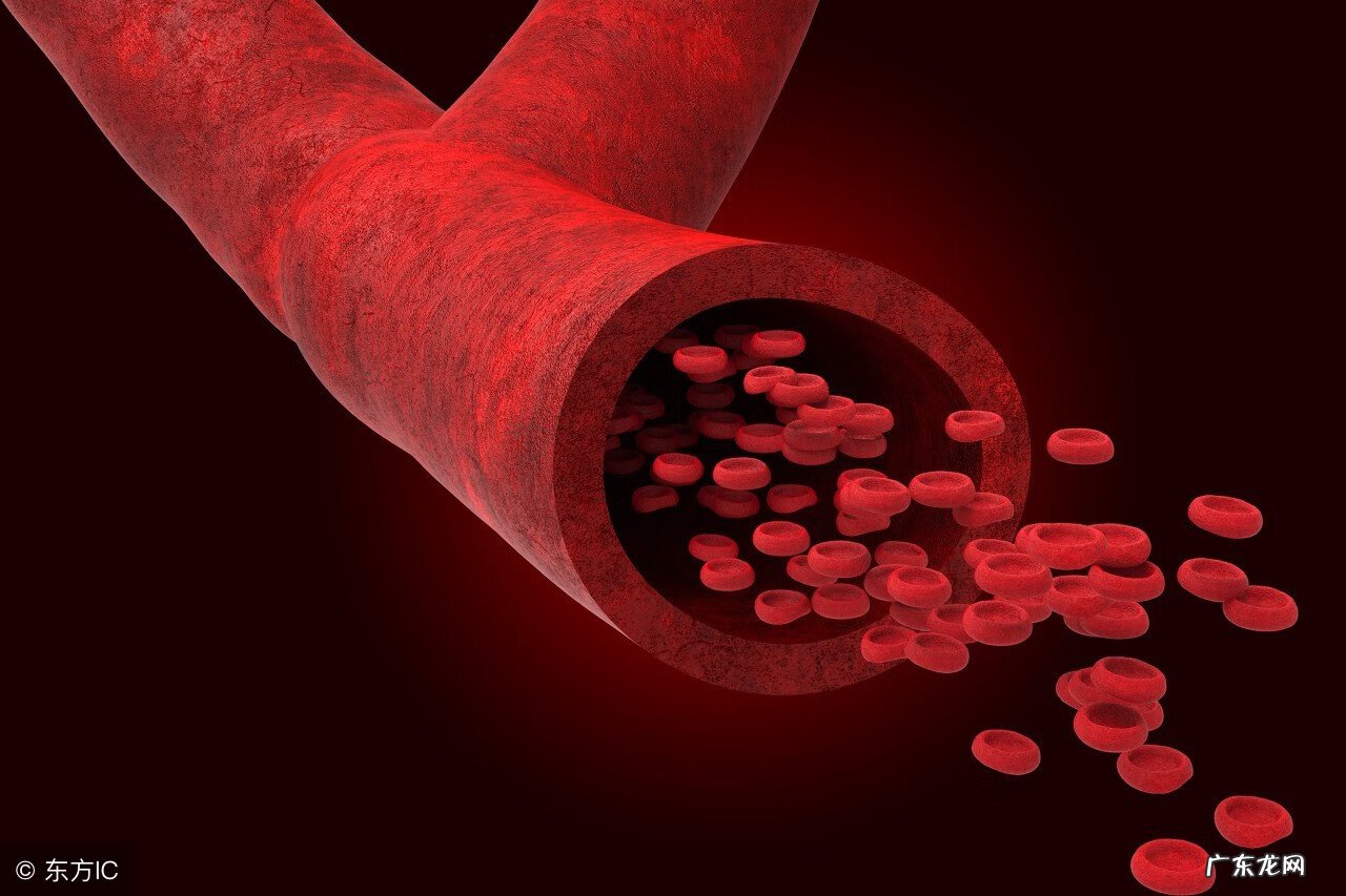 脉搏90多接近100 脉搏多少正常范围内18岁