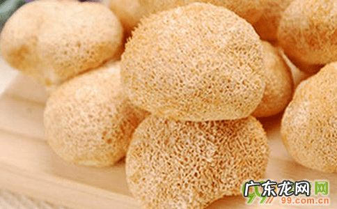 猴头菇宝妈能吃吗 孕妇能吃猴头菇吗