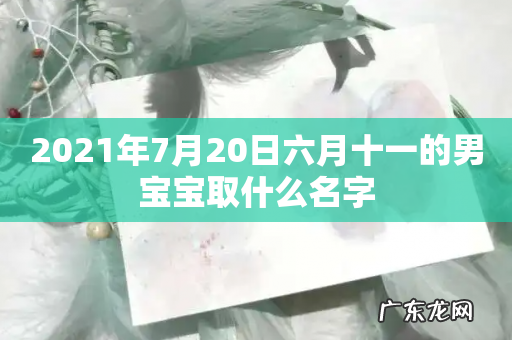 2021年7月20日六月十一的男宝宝取什么名字