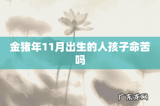 金猪年11月出生的人孩子命苦吗