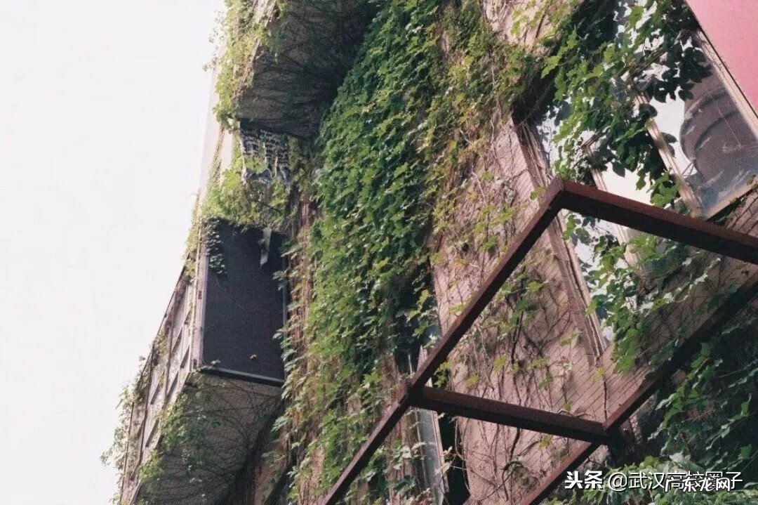 硚口区人民政府 武汉硚口区风水