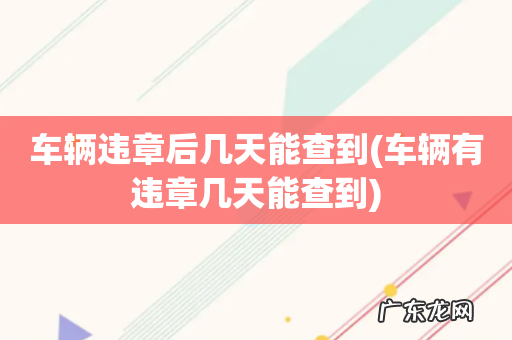 车辆有违章几天能查到 车辆违章后几天能查到
