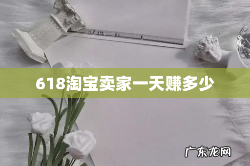618淘宝卖家一天赚多少
