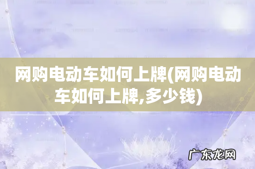 网购电动车如何上牌,多少钱 网购电动车如何上牌