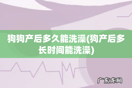 狗产后多长时间能洗澡 狗狗产后多久能洗澡