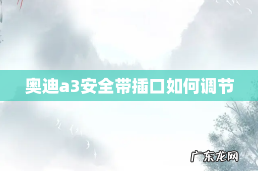 奥迪a3安全带插口如何调节