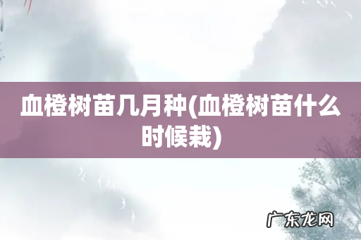 血橙树苗什么时候栽 血橙树苗几月种