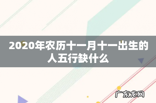 2020年农历十一月十一出生的人五行缺什么
