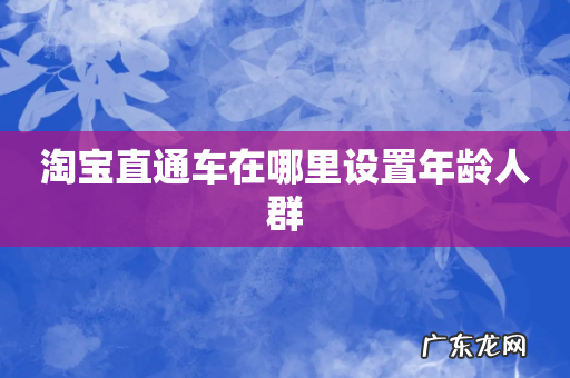 淘宝直通车在哪里设置年龄人群