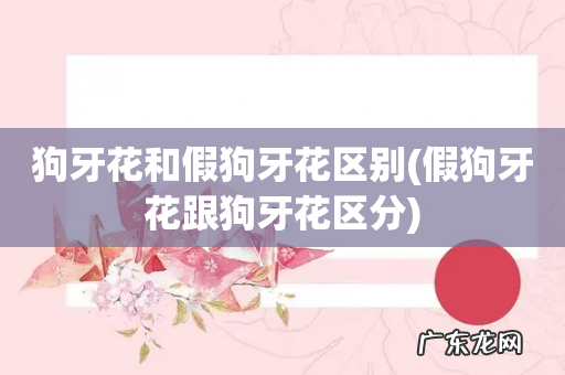 假狗牙花跟狗牙花区分 狗牙花和假狗牙花区别
