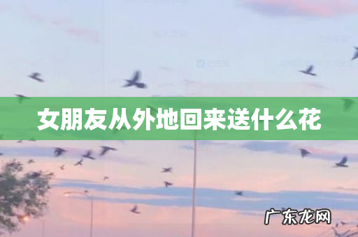 女朋友从外地回来送什么花