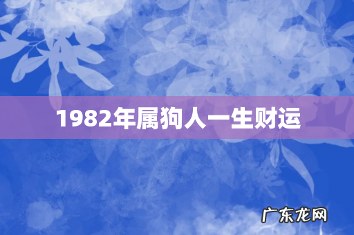 1982年属狗人一生财运