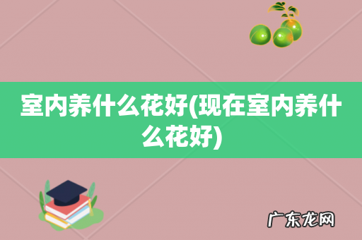 现在室内养什么花好 室内养什么花好