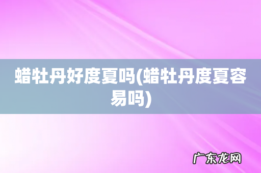 蜡牡丹度夏容易吗 蜡牡丹好度夏吗