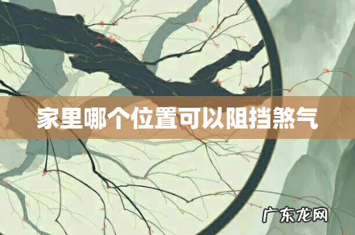 家里哪个位置可以阻挡煞气