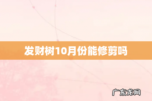 发财树10月份能修剪吗