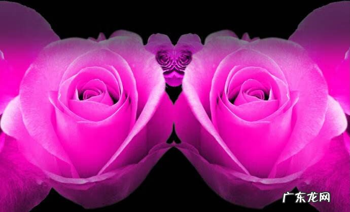 6岁幼稚子宫 幼稚子宫是多少mm