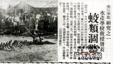 真龙吐珠风水宝地 巨龙洞穴风水故事