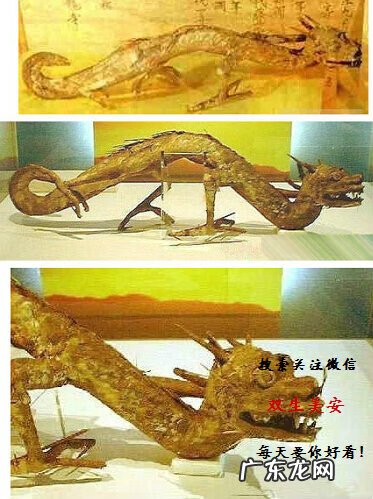 真龙吐珠风水宝地 巨龙洞穴风水故事