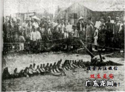 真龙吐珠风水宝地 巨龙洞穴风水故事