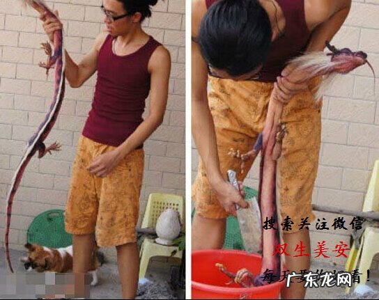 真龙吐珠风水宝地 巨龙洞穴风水故事