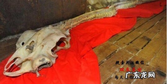 真龙吐珠风水宝地 巨龙洞穴风水故事